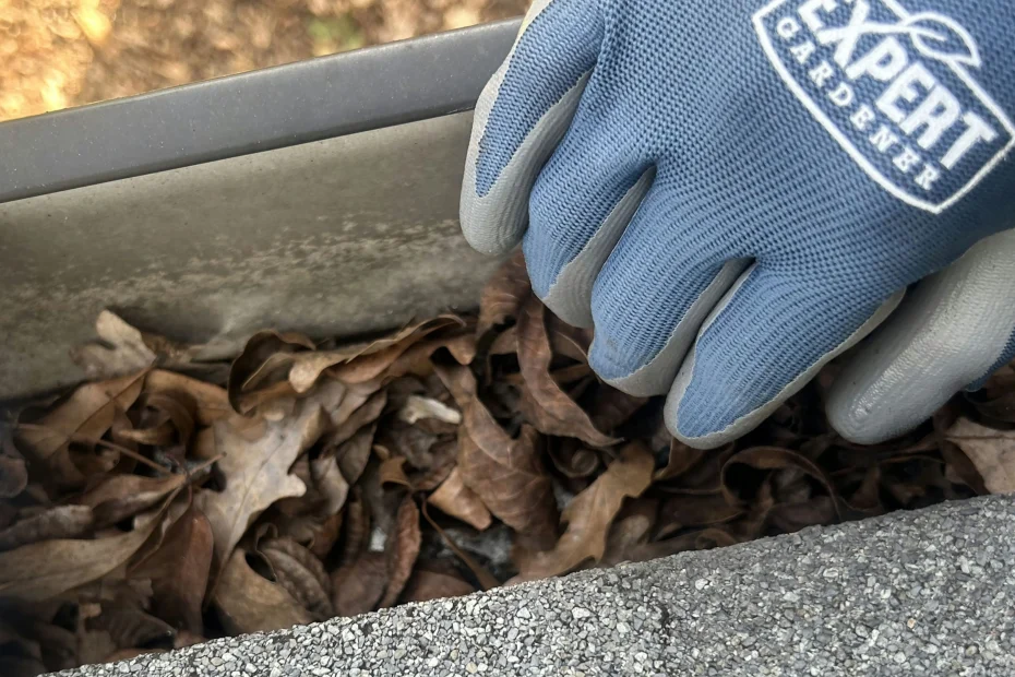 Gutter Cleaning Helena